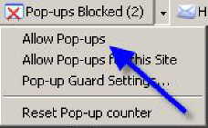 MSN Pop-Up Blocker Menu screen